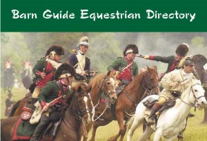 Equestrian Classifieds and Online Directory