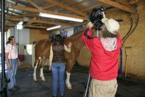 Painted Pony Video Productions in High Def