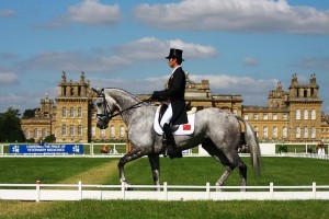 Draper Equine Therapy®, makers of therapeutic horse and rider products featuring the innovative “smart fiber” Celliant ®, is pleased to announce they will be sponsors at the 2012 Fidelity Blenheim Palace International Horse Trials in Blenheim, England, September 6th to 9th. (Photo courtesy of Blenheim Palace International Horse Trials)