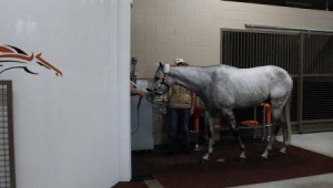 The Sanctuary Equine Sports Therapy & Rehabilitation Center Makes Improvements To Their Hyperbaric Oxygen Therapy Chamber