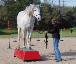 How and Why of Pedestal Training