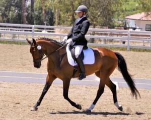 Highlife’s Aria, owned by Tami Hoag and ridden by Charlie Pinneo, were the high score of the Spirit Equestrian Center Dressage show in California with a 74.06%.  (Photo courtesy of Mitch Weiss)