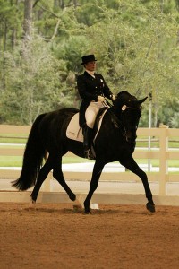 Wellington Classic Holiday Challenge Dressage Show Supports Toys for Tots