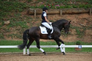 Caliente Interagro Selected to Ride in NEDA 2012 Fall Symposium Demonstration
