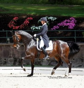 Premier Equestrian, a leading supplier of dressage arenas, horse jumps, arena footing and stable accessories is excited to congratulate, 2012 Olympic Dressage Rider, Adrienne Lyle and her horse, Wizard on an outstanding year of success. (Photo courtesy of SusanJStickle.com)