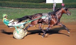 Captaintreacherous is Pacer of the Year
