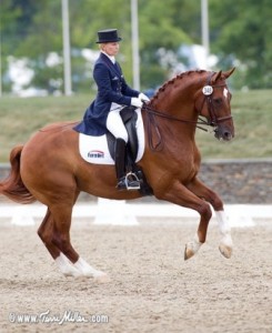 Betsy Steiner’s Ladies Club Takes Serious Dressage 