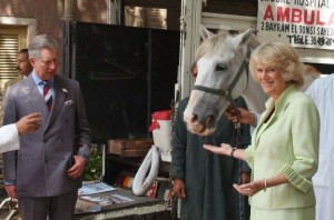 Her Royal Highness the Duchess of Cornwall’s Charity 