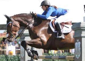 Grand Prix show jumper Danielle Goldstein and CWD Sellier, premier saddle and tack manufacturers, are pleased to announce their collaboration for 2013.  