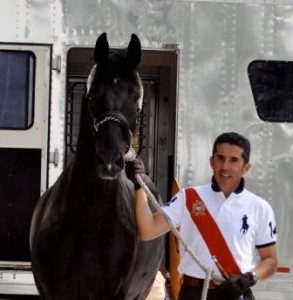 Dr. Cesar Parra and his Grand Prix mount, Van the Man, arrive in Florida for the winter dressage season. (Photo courtesy of Dr. Cesar Parra)
