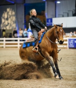 WHO REINS SUPREME?: WORLD-CLASS EQUESTRIANS COMPETE FOR A CAUSE