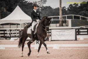 Kentucky Derby Winner Slows Down for Dressage as Caroline Roffman takes a 70% and 78% in Young Rider Grand Prix