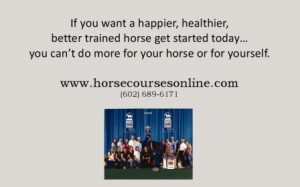 Now you can earn an accredited Associate of Arts degree in Equine Business Management and do it completely online, affordably and in less than 18 months.