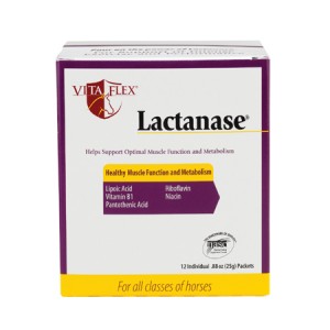 Vita Flex® Lactanase® and Jacket Giveaway Winner From Pittsburgh Reins In Sweepstakes Prizes