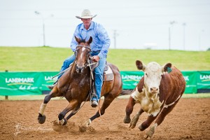 Australian Campdrafting is coming to the United States: