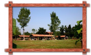  BINEF farm is founded 2003 in Düzce. British race horse breeding is important at this farm and a tradition. 