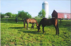 Barn Tour Offers Look at Premiere Staunton Farms