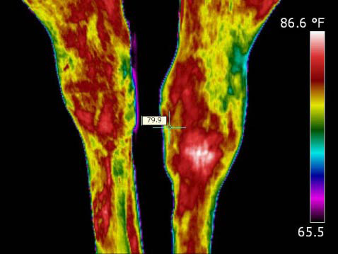 Thermal Imaging for Dressage Horses--Joanna Robson