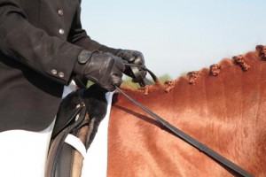 The only equestrian glove designed by an Orthopedic Hand Surgeon