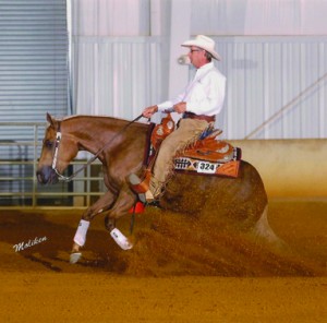 Choice of Champions Provides Winning Edge to Rocky Dare and Taylor Young at 2013 All American Quarter Horse Congress  Wellington, FL (December 3, 2013) – Choice of Champions International, a company that specializes in producing supplements designed to aid sport horses, is pleased to congratulate reiner Rocky Dare and barrel racer Taylor Young on their success at the 2013 All American Quarter Horse Congress.  Both Dare and Young have made Choice of Champions’ supplements a major part of their horses’ training regiment to give them that winning edge, and their winning results at Congress speak for themselves.  Dare took first place in both the NRHA Open Reining and the NRHA Prime Time Open Reining classes riding Great King Pine, owned by Patti Widener.  He also won the NRHA Open Freestyle Reining class aboard Squeaky Clean Jeans, owned by Bruce and Sue Kuryloski.  Young rode her own 12-year-old gelding, KissMySkooter  to first place in the Senior Barrel Racing class, as well as placed 12th in the first round of the Wenger Barrel Racing Sweepstakes, and placed 2nd in the second round of the Sweepstakes for an overall finish of 5th Place in the Wenger Barrel Racing Sweepstakes Average.