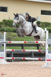 Danielle Goldstein Grows Starwyn Farms’ Potential With New Horse Rosette  Wellington, FL (January 27, 2014) - There's potential and then there's... potential. And if you ask international grand prix star and head of Starwyn Farms Danielle Goldstein, she will tell you that Rosette, the nine year-old American Warmblood (Milano de Flore x Catskill) she now co-owns with Ivan Rakowsky and Starwyn Farms, is a rising star.