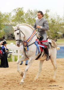 Adagio DC Co-Champion, Working Equitation Advanced, ridden by Antonio Garcia Owned by Haras Dos Cavaleiros, a 2014 Pin Oak Charity Horse Show Title Sponsor.