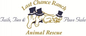 Last Chance Ranch Animal Rescue, true to its name, is the last chance for many animals. Pulled from the grasp of uncertainty, potential slaughter, euthanasia, neglect and abandonment, Last Chance Ranch (LCR) rescues horses, dogs and many other animals giving them their last chance to shine and thrive. LCR is a 501c3 non-profit, volunteer based animal rescue, founded in 1989 and reorganized as a non-profit in 1998. Since that time we have grown and changed in many ways to help animals in need, focusing on equines and canines. We have a combined animal education of over 100 years of experience. We rescue, rehabilitate and re-home over 1000 animals every year. We have found the best way to help more animals is to partner with other organizations and companies to achieve a common goal. Last Chance Ranch diligently works to develop new programs and partnerships in an effort to save more animals from uncertain fates, as well as provide many services to the community.