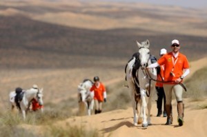 Gallops of Oman: A First Success.  It’s completed: after staying on course for five days and 180 km of sandy dunes, all participants of the first Gallops of Oman, and equestrian endurance competition across the desert all the way to the Omani beaches, arrived safely at their destination on February 21st: the beautiful beach in the East of the spectacular Ash Sharqiyah desert.