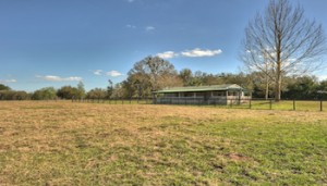 "Beautiful & private 10+ acre farm just 5 minutes East of HITS on Hwy 326 in Ocala. Property features a fully furnished double-wide 3/2 split-plan mobile home that has extensive covered decking overlooking the lush pastures and two 2 run-in sheds