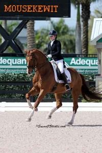 Bebe Davis Concludes Successful Season, Prepares for Exciting Summer Shows   Wellington, FL (April 7, 2014) - Rising young equestrian Bebe Davis finished out a wonderful season competing in the Adequan Global Dressage Festival, January 8-March 30, 2014.  Davis, 16, lives in Wellington, Florida during the winter, and Bedminster, New Jersey, during the spring and summer. She competed two horses, both owned by her parents, Michael and Sarah Davis. Bebe’s been showing Rotano, a 13 year old Hanoverian gelding, for a little over a year. Fievel Mousekewitz, also a 13 year old Hanoverian gelding, is brand new. Bebe‘s been riding him since February, only two weeks before their first show and CDI together! “He is an amazing teacher, and I am so grateful to be able to ride him,” she says.