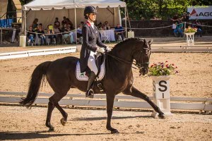 ShowChic and Equiline Congratulate Caroline Roffman on Her Success at the US Festival of Champions