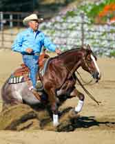 Vita Flex Victory Team Member Bob Avila To Headline at Western States Horse Expo   Sacramento, CA (May 29, 2014) - Vita Flex, a leading supplier of advanced performance products for horses, is proud to announce that Victory Team member Bob Avila will be one of the main presenting clinicians at this year’s Western States Horse Expo, held June 13-15, at Cal Expo Fairgrounds in Sacramento, California. <!--[endif]-->  Over the years such notable presenters have included Bob Avila, Chris Cox, John Lyons, Clinton Anderson, Richard Winters, Pat Parelli, Ken McNabb, Craig Cameron, Jonathan Field, and more. Visitors benefit from a wide variety of great horse training knowledge. It's like being able to attend a dozen horsemanship clinics all in one day. Besides learning horse training tips, guests can shop for horse trailers, horse art, horses products, and all types of horse supplies.