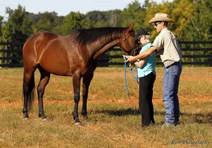 ACTHA’s New “Mentor” Division Announced  As the idea of natural horsemanship training has become more mainstream in the equine community of the United States, the value of trail riding is increasingly prevalent in the training process of both horses and riders.  In addition to trail miles, exposure to other horses and humans along with the negotiation of man made and natural obstacles are absolutely necessary for both horse and rider, regardless of discipline.  In an effort to support those instructors, trainers, and clinicians, the American Competitive Trail Horse Association has created a new “Mentor” division. 