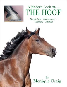 New Modern Look At ... THE HOOF Offers Unprecedented Horse Hoof Care Information 