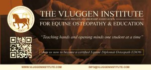 The Vluggen Institute for Equine Osteopathy and Education 