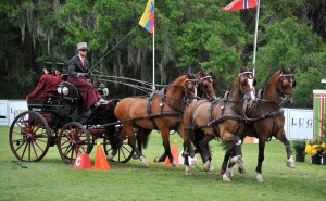 2015 USEF National Horse and Pony Driving Champions  Named at Live Oak International