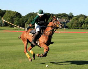 Palms Polo Club and MDK Polo was created by Mauricio Devrient Kidd, a polo professional and world renowned polo instructor for the purpose of making polo instruction and play available to every person at any level of skill. Whether you are just beginning or you are already enjoying the exhilarating sport of polo, you can benefit from the services that are listed within the pages of this website.