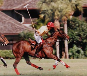 Polo Ponies Partner With Centers By Brittany Halstead