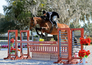 HITS to Build New Hunter Stadium at Post Time Farm Exemplifies Commitment to High-Performance Hunter Riders  OCALA, Florida (June 6, 2015): A new Hunter Stadium to be built this year at HITS Post Time Farm will give high-performance hunter riders a premier location in which to compete during the 2016 Ocala Winter Circuit and beyond.