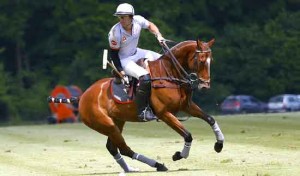 The Polo Charity Cup for Hadassah : A thrilling tournament to come
