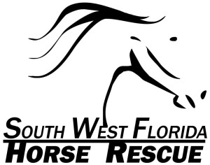 Southwest Florida Horse Rescue