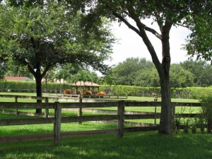 Charming Three-Acre Equestrian Estate Close to the Showgrounds Offered by  Marysue Jacobs and Destiny International Properties  Price Reduced to Sell at $1,799,000 #eliteequestrian