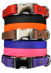 Collarsandmore.com is a distributor of high quality products for your dog. #eliteequestrian