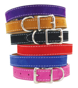 Collarsandmore.com is a distributor of high quality products for your dog. #eliteequestrian