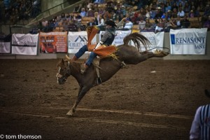 Atlantic Coast Stampede Rodeo: America’s #1 Extreme Sport  Comes to the Jacksonville Equestrian Center
