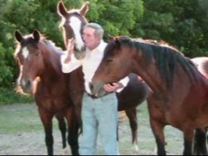 So You're Going Bitless Chuck Mintzlaff #eliteequestrian elite equestrian magazine