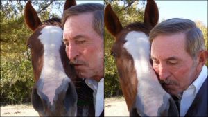 So You're Going Bitless Chuck Mintzlaff #eliteequestrian elite equestrian magazine