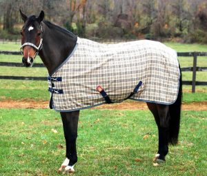 To celebrate the 150th Anniversary of our famous 5/A BAKER horse clothing, Curvon has introduced the new DELUXE BAKER SHEET. #eliteequestrian elite equestrian magazine