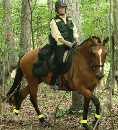 Recusa Interagro, a 15-year-old mare owned by Sarah Vogeley of New Forest Farm, is an integral part of TrotSAR, an equine search and rescue that serves government public safety organizations in Maryland, Virginia, West Virginia, Delaware and Pennsylvania, rescuing victims in wilderness, rural or urban/suburban settings.