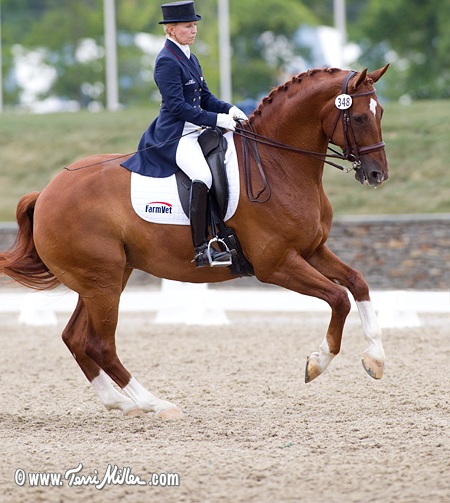 Betsy Steiner’s Ladies Club Takes Serious Dressage